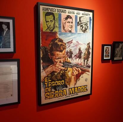 Imagen descriptiva de la actividad