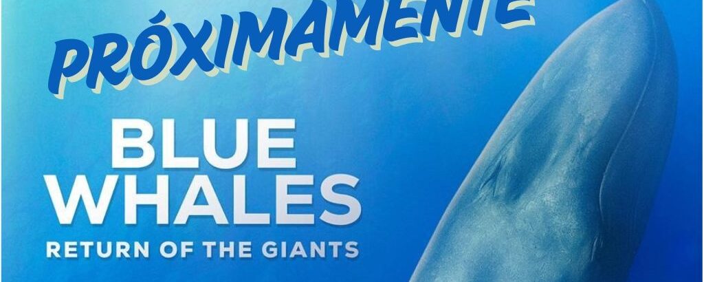 Imagen descriptiva de la actividad