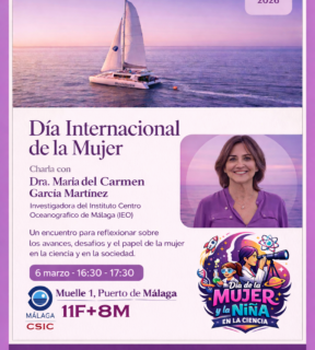 Fotografía ilustrativa de la actividad