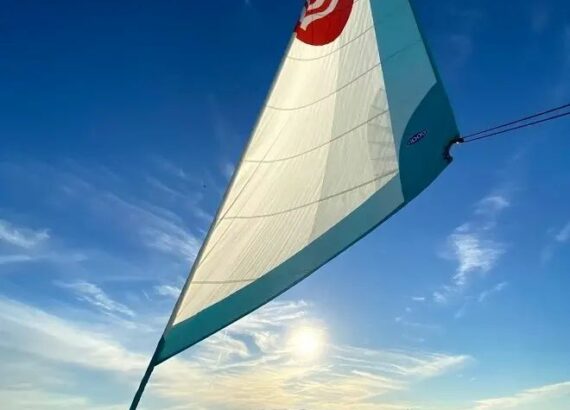 Imagen descriptiva de la actividad