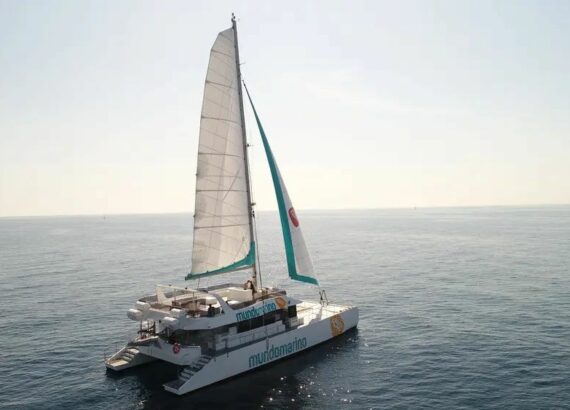 Imagen descriptiva de la actividad