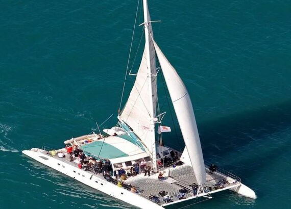 Imagen descriptiva de la actividad