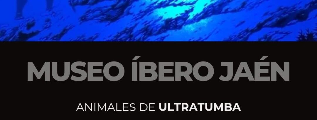 Imagen descriptiva de la actividad