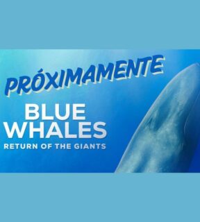 Fotografía ilustrativa de la actividad