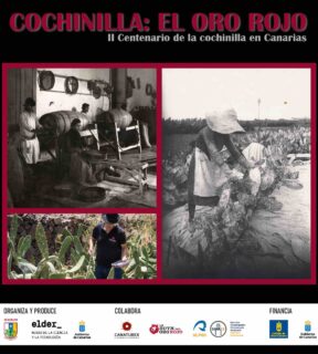 Fotografía ilustrativa de la actividad