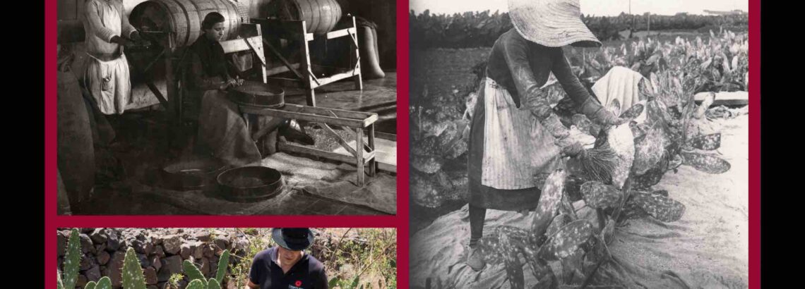 Imagen descriptiva de la actividad