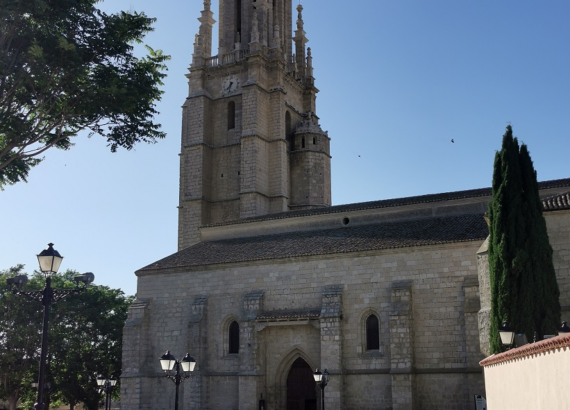 Imagen descriptiva de la actividad