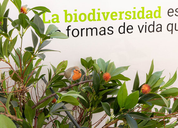 Imagen descriptiva de la actividad