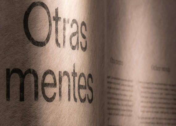 Imagen descriptiva de la actividad