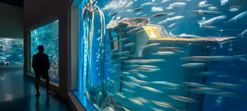 Fotografía de la Aquarium de Finisterrae