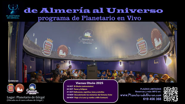 Imagen descriptiva de la actividad