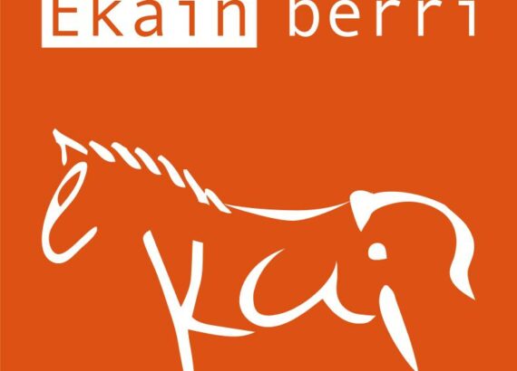 Imagen descriptiva de la actividad