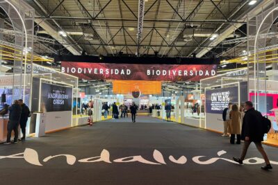 Fotografía ilustrativa de la noticia