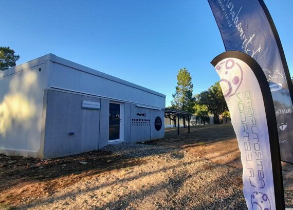 Imagen descriptiva de la actividad