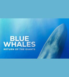 Fotografía ilustrativa de la actividad