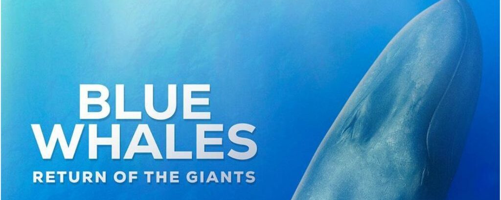 Imagen descriptiva de la actividad