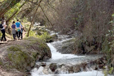Fotografía ilustrativa de la noticia
