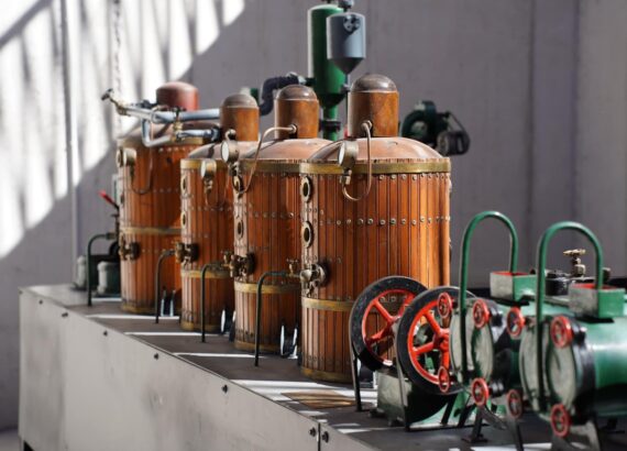 Imagen descriptiva de la actividad