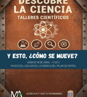 Fotografía ilustrativa de la actividad