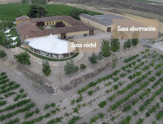 Imagen descriptiva de la actividad