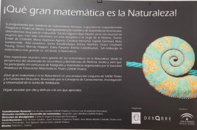 qué gran matemática es la Naturaleza